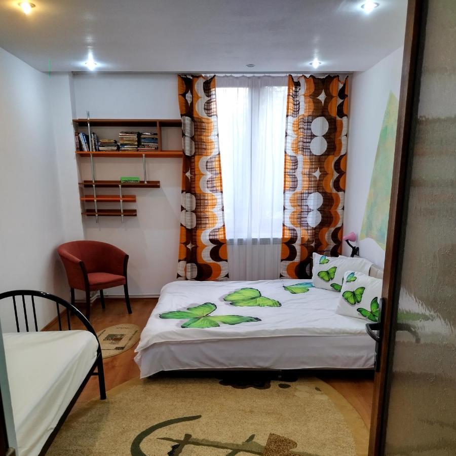 Apartament Camelia Петрошани Экстерьер фото