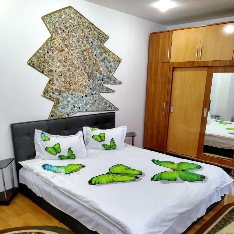 Apartament Camelia Петрошани Экстерьер фото