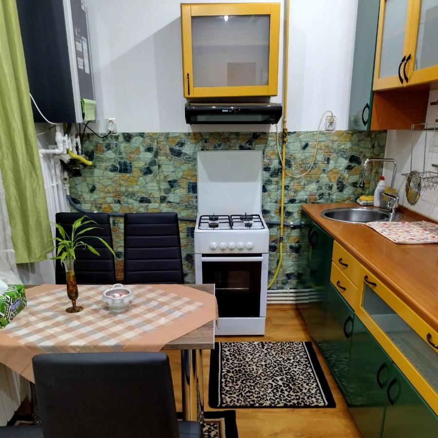 Apartament Camelia Петрошани Экстерьер фото