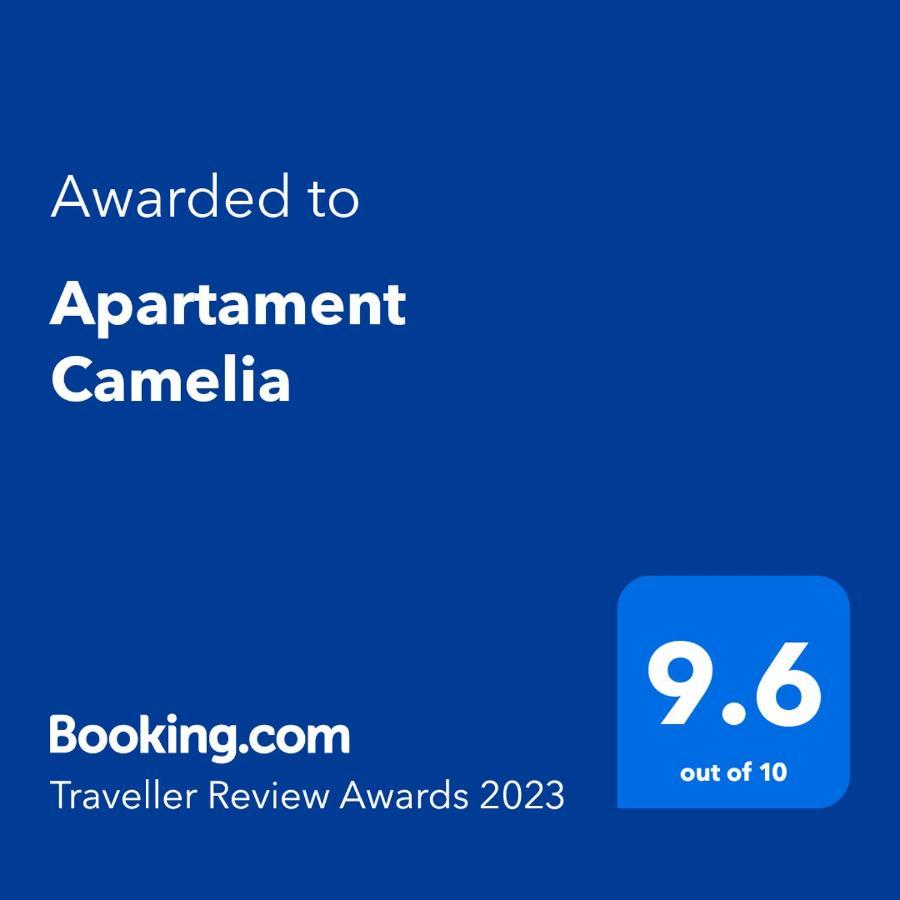 Apartament Camelia Петрошани Экстерьер фото